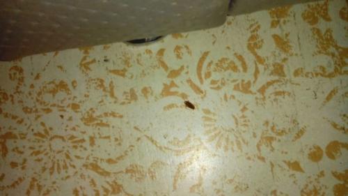 Раз уж пошёл разговор о заведениях, то вот вам мини обзор Фальконе. 02