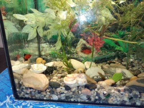 Появление ребёнка оживляет атмосферу любого жилища. 01