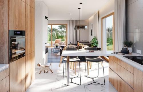 Эскизный проект одноэтажного дома с гаражом. 06