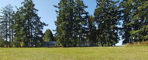 Linear House - дом длиной 85 метров от Patkau Architects. 07