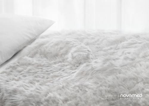 Реклама частной клиники скрытую аллергию показала. 01