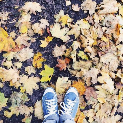 ? 8. Сайтов для людей, которых осень вдохновляет на творчество? 01