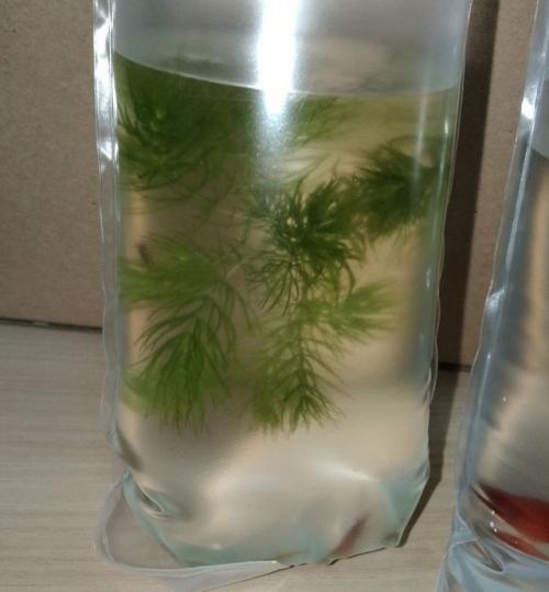 Появление ребёнка оживляет атмосферу любого жилища. 02