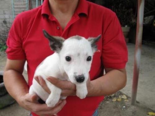 Олечка стрельцова. Ольга 0990736201. 02