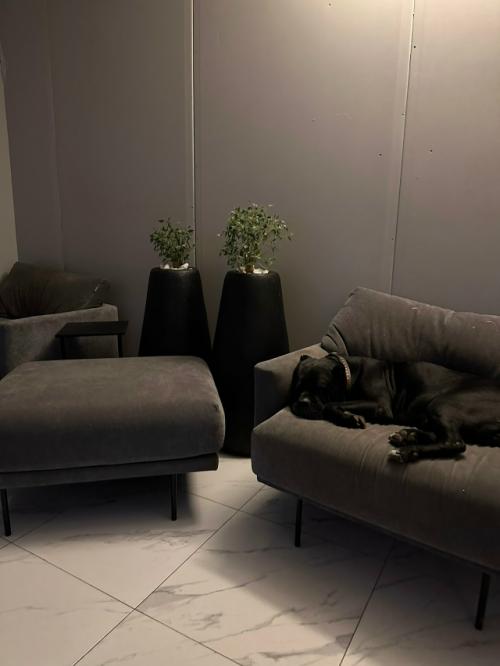 Комнатные цветы. Моя любовь, мое заземление. 01 Комнатные цветы. Моя любовь, мое заземление. 01