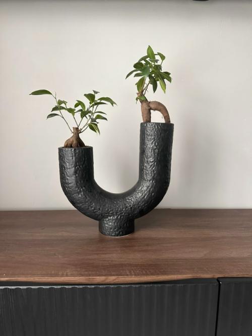 Комнатные цветы. Моя любовь, мое заземление. 03 Комнатные цветы. Моя любовь, мое заземление. 03