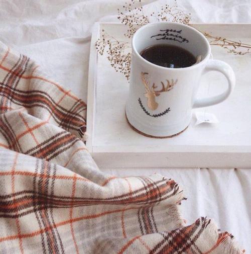 Топ 10 комнатных растений? 

