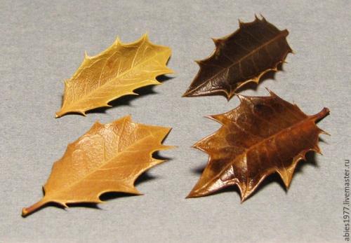 Как быстро законсервировать листья в глицерине? 05