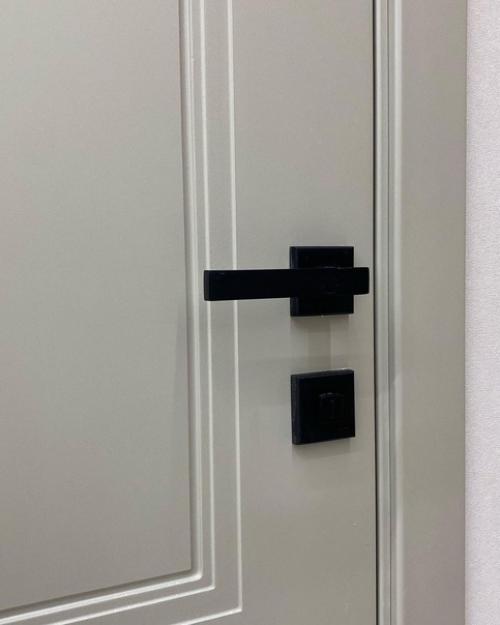 Долой стереотипы!  Кто сказал, что двери в помещении должны быть одинаковыми! 03