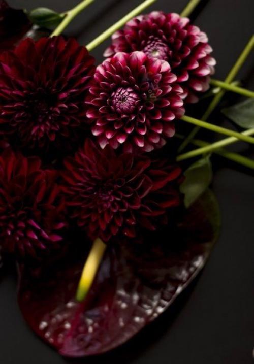 Доброго и солнечного вам осеннего утра? 02