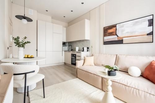 Светлый интерьер маленькой 1-комнатной квартиры 30, 3 кв. 02