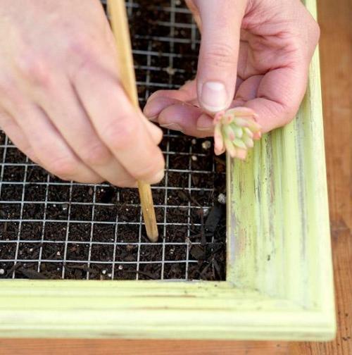 Фотошпаргалка?  Создание картин из растений. 06