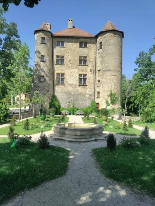 Замок шарм - сюр - л'эрбас расположен в шарм - сюр - л'эрбас во французском департаменте дром в регионе овернь - Рона - Альпы. 01