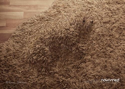 Реклама частной клиники скрытую аллергию показала. 02