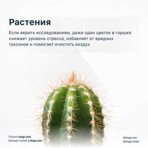 В красивую квартиру хочется возвращаться каждый день. 03