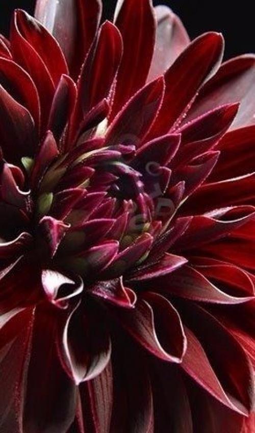 Доброго и солнечного вам осеннего утра? 03