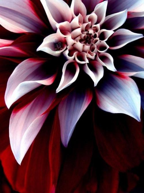 Доброго и солнечного вам осеннего утра? 01