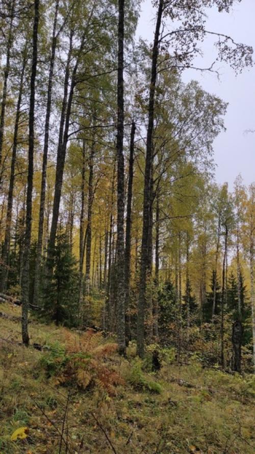 Место, где хочется быть. 08