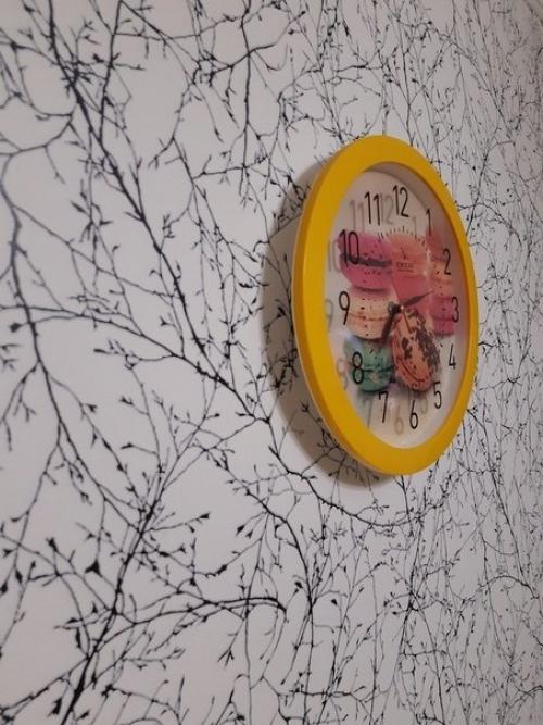 Наша подписчица солнечную кухню сделала! 05