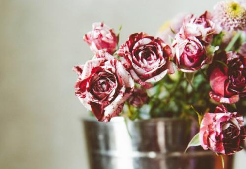 Фланелевый маркет.  29 октября 12: 00 - 20: 00. 05