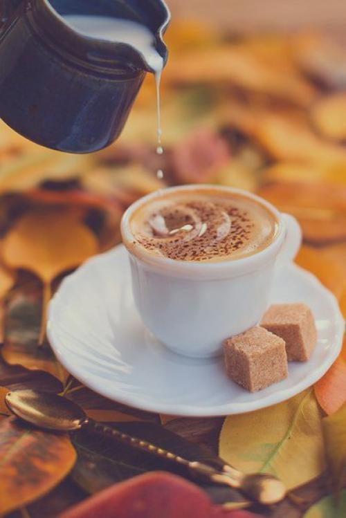 Дело не в дороге, которую мы выбираем; то, что внутри нас, заставляет нас выбирать дорогу. 01