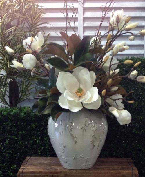 К числу красивых, нежных и трогательных растений можно с полной уверенностью отнести магнолию. 01