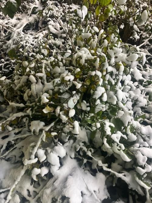 Праздничный понедельник всегда приятнее обычного. 06