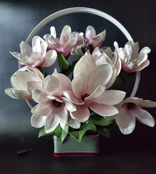 К числу красивых, нежных и трогательных растений можно с полной уверенностью отнести магнолию. 05