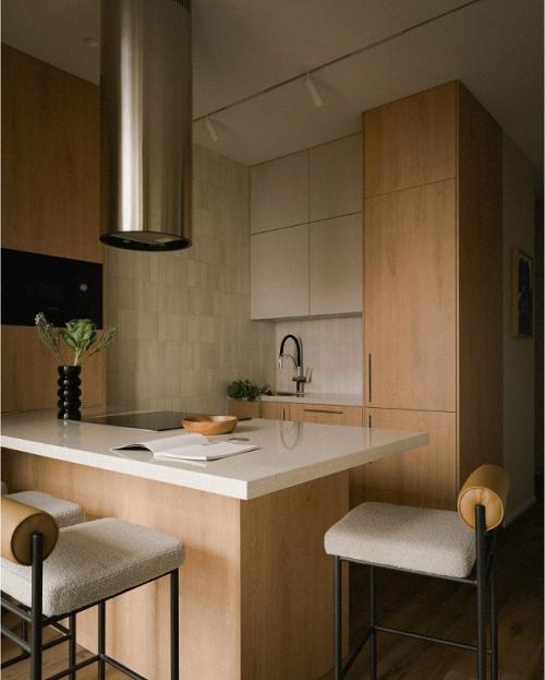 Интерьер 1-комнатной квартиры 50 м 2 в Санкт-петербурге. 02