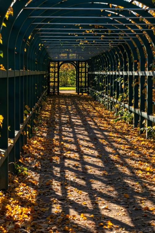 Петергоф, верхний сад. 05