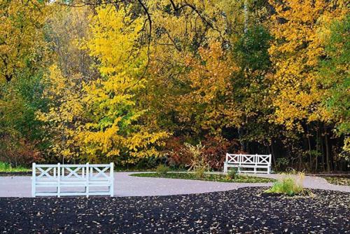 20 мест для самой красивой прогулки в Москве. 01