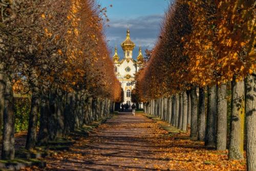Петергоф, верхний сад. 01