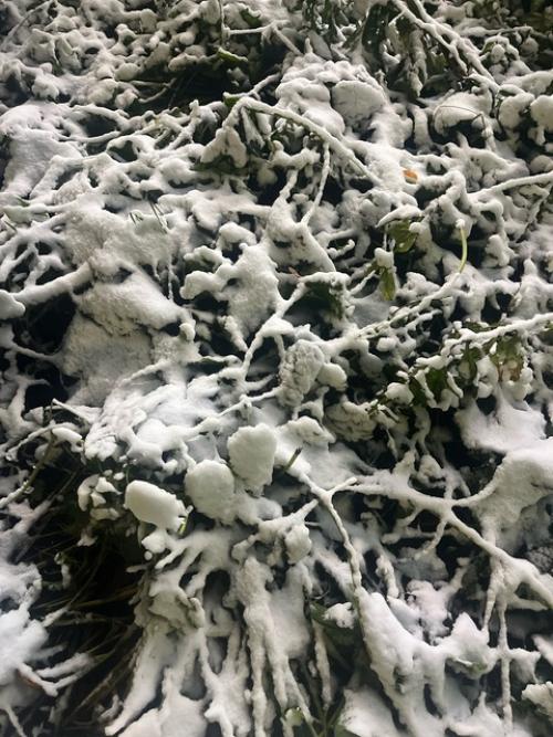 Праздничный понедельник всегда приятнее обычного. 02