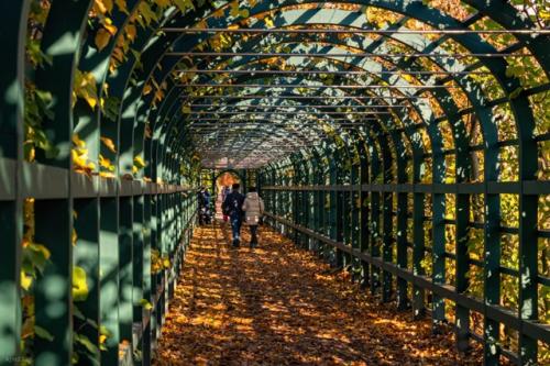 Петергоф, верхний сад. 04