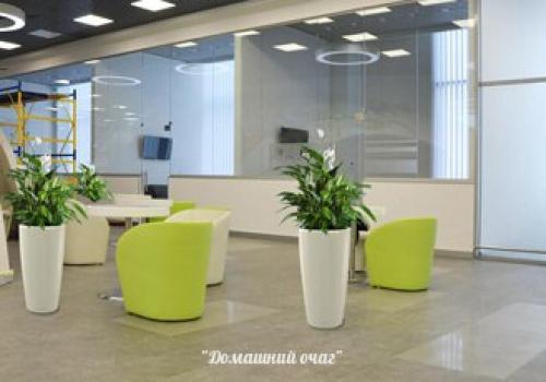 Фитодизайн помещений. Озеленение квартир и офисов. 03 Фитодизайн помещений. Озеленение квартир и офисов. 03