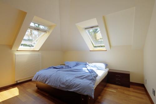 Все о мансардных окнах. 05