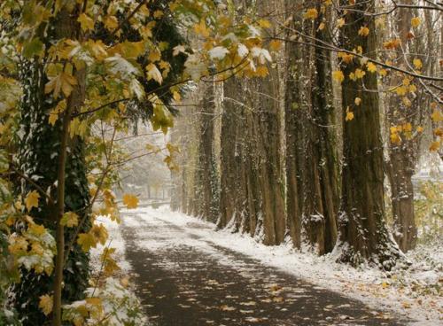Где погулять в ноябре в Москве. 03