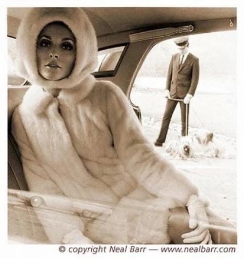 Белый символизирует чистоту или невинность. 09