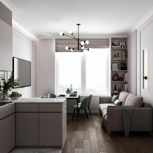 Проект кухни - гостиной (17, 67 кв. 04