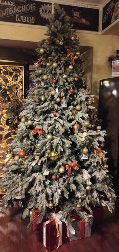 Ах, если б знали вы, что за деликатесы. 01