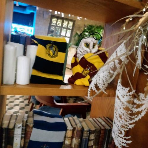 Вика поттер и тайная начинка ёлки. 06