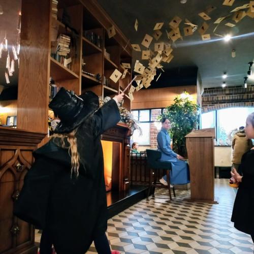 Вика поттер и тайная начинка ёлки. 04