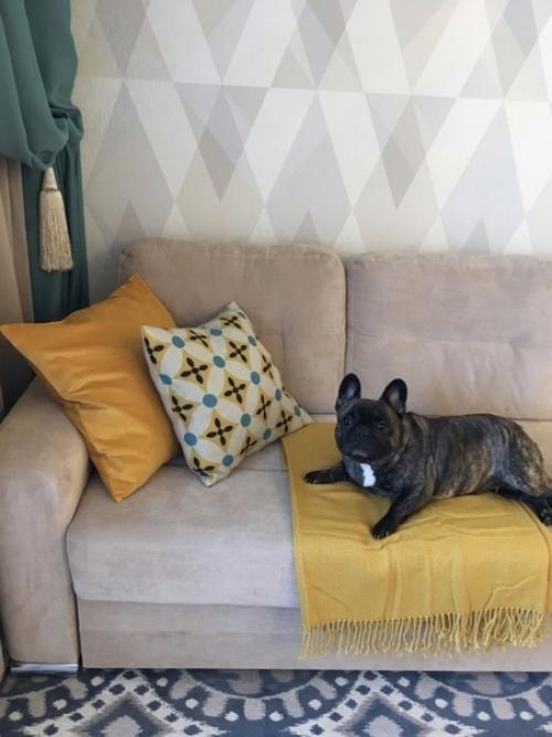 Ремонт небольшой кухни - гостиной в светлых тонах. 02