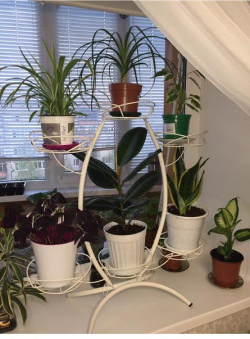 Подставка для цветов? 01