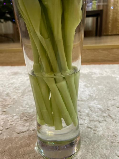 Букет из 15 ярко-розовых тюльпанов отлично впишется в интерьер вашей кухни или гостиной полная ботаническая копия. 02