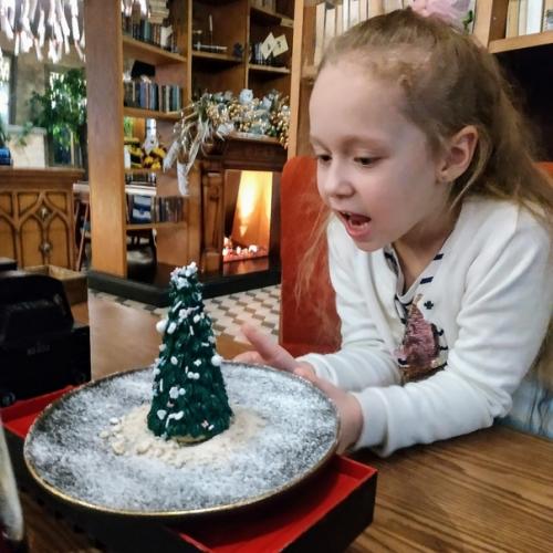 Вика поттер и тайная начинка ёлки. 02