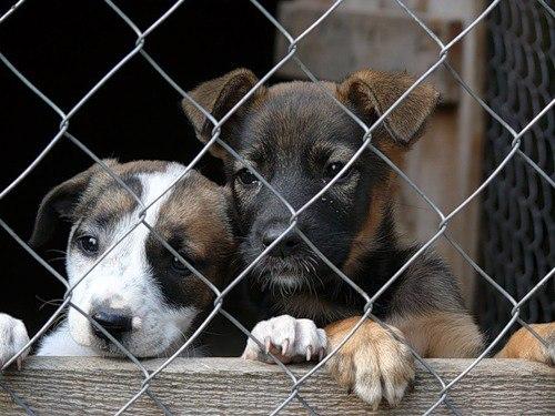 Чем заняться на неделе в Москве? 02