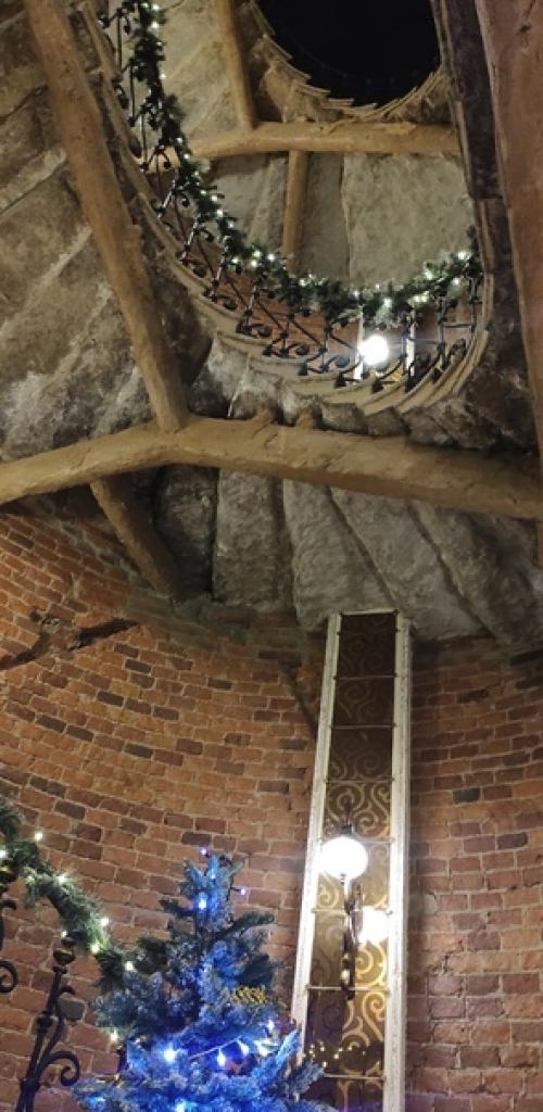 Ах, если б знали вы, что за деликатесы. 06