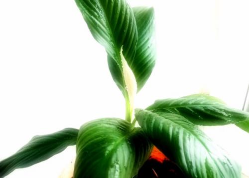 Никогда особо не придавала значение всяким приметам и суевериям. 01