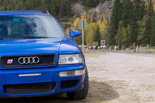 Audi RS2 Avant дебютировала в 1993 году.